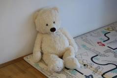 Mini IMG 3844